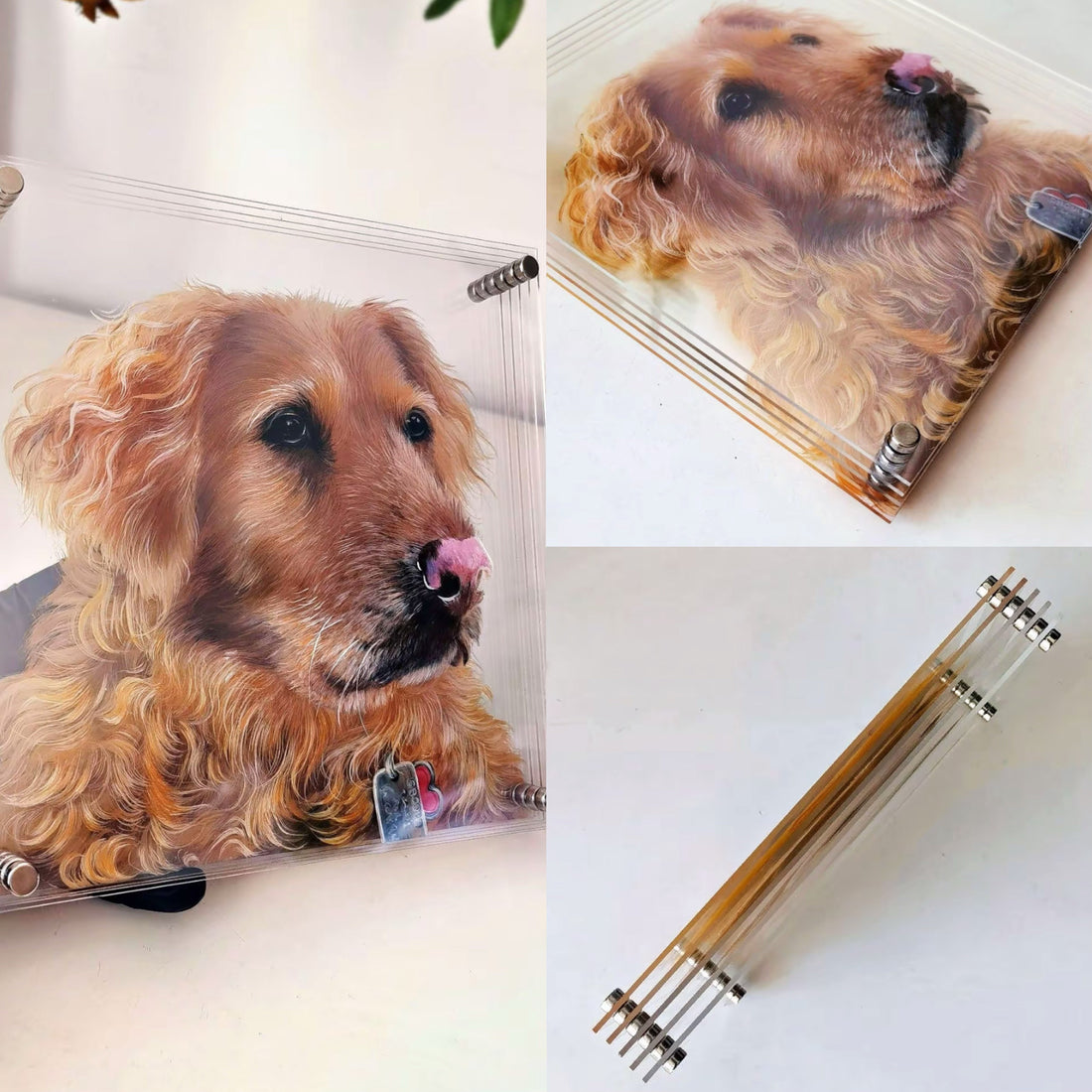 Why an Eternal 3D Pet Portrait is the Perfect Way to Honor Your Furry Friend