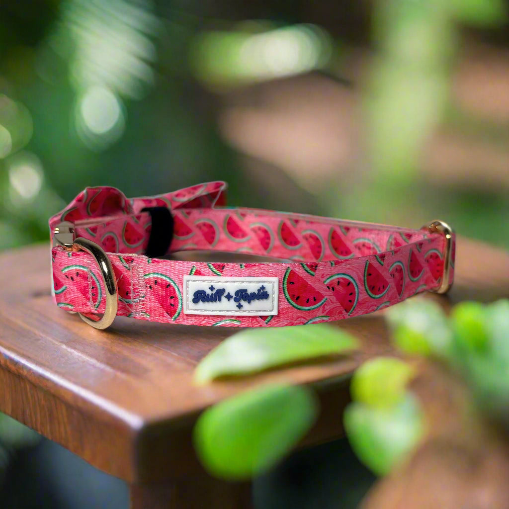 Watermelon Vibe Dog Collar