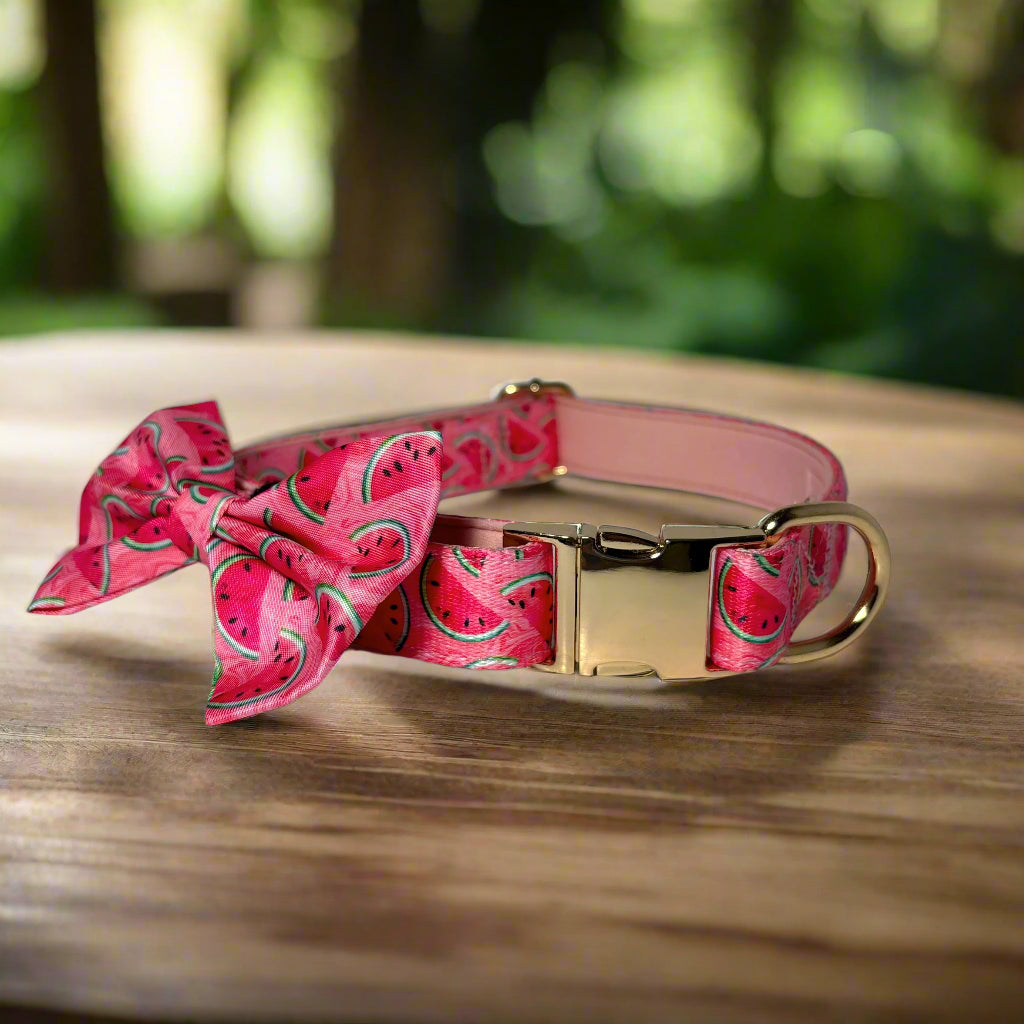 Watermelon Vibe Dog Collar