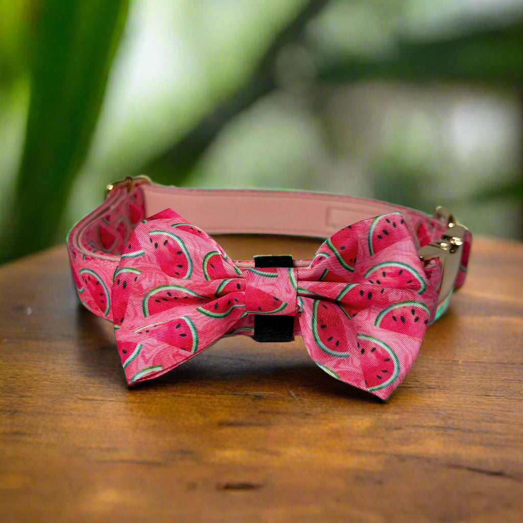 Watermelon Vibe Dog Collar