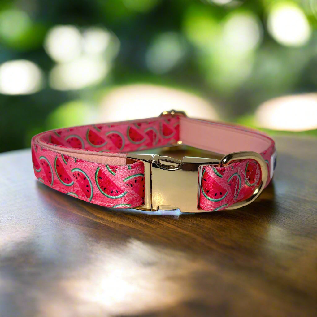 Watermelon Vibe Dog Collar