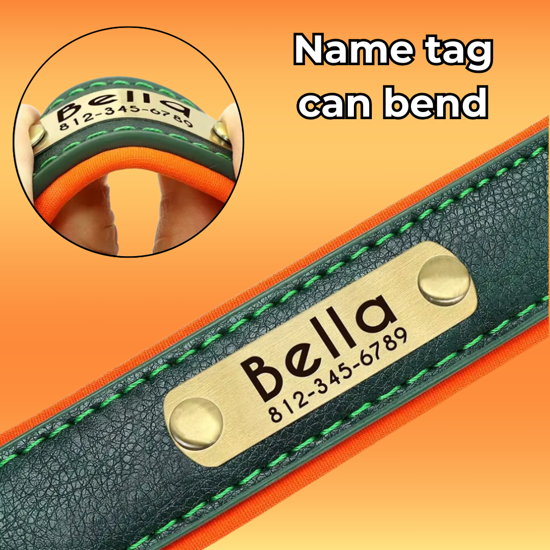 Personalized Dog ID Collar