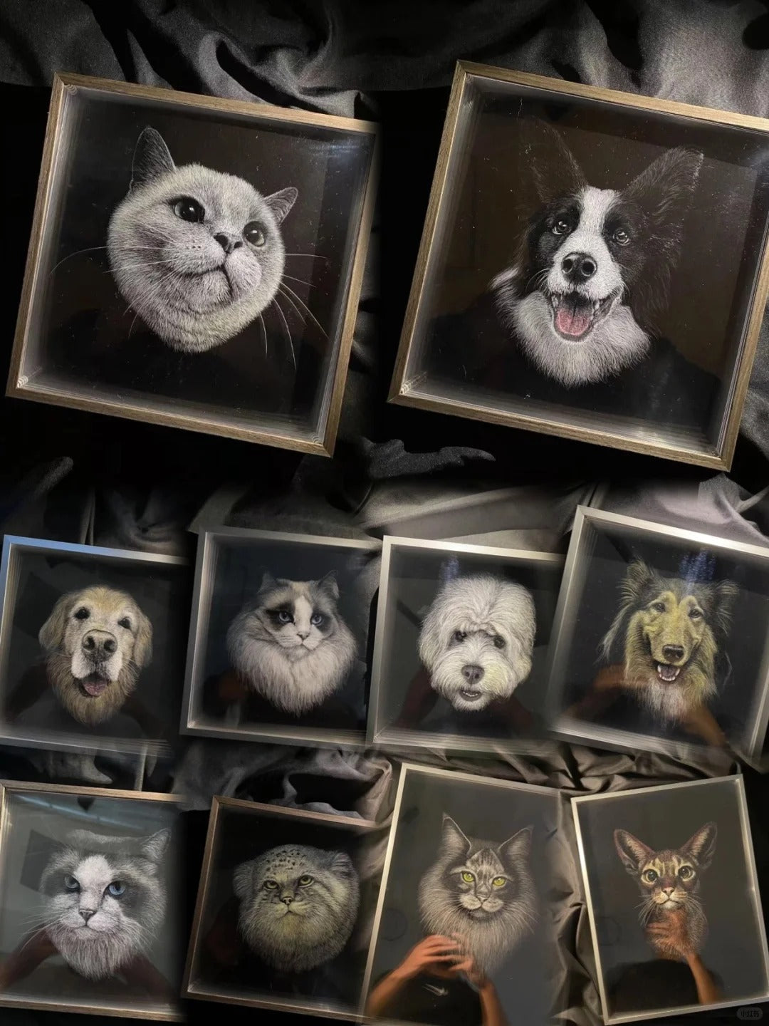 Knife Scratch 3D Pet Portrait