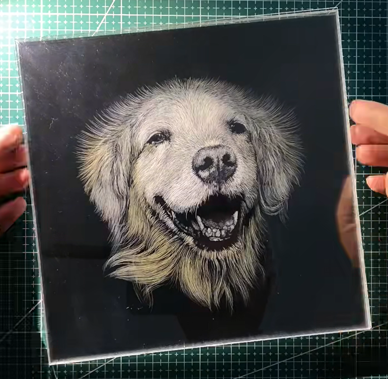 3D Multi-Layer Scratch Pet Portrait - golden retriever