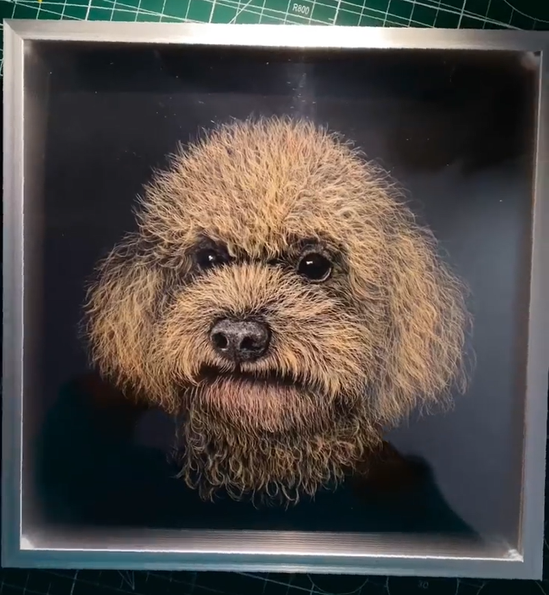 3D Multi-Layer Scratch Pet Portrait - poodle