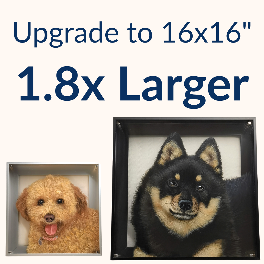 12"×12" to 16"×16"