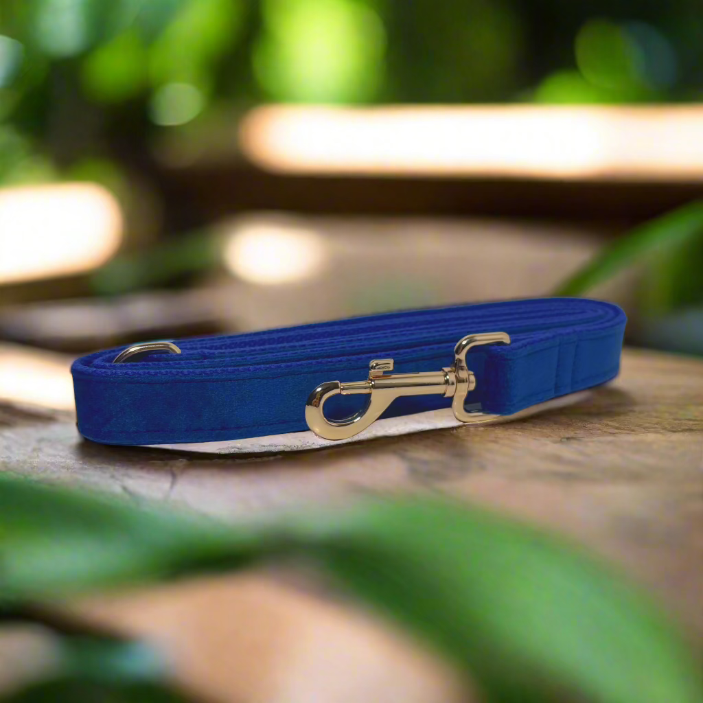 Indigo Velvet Leash