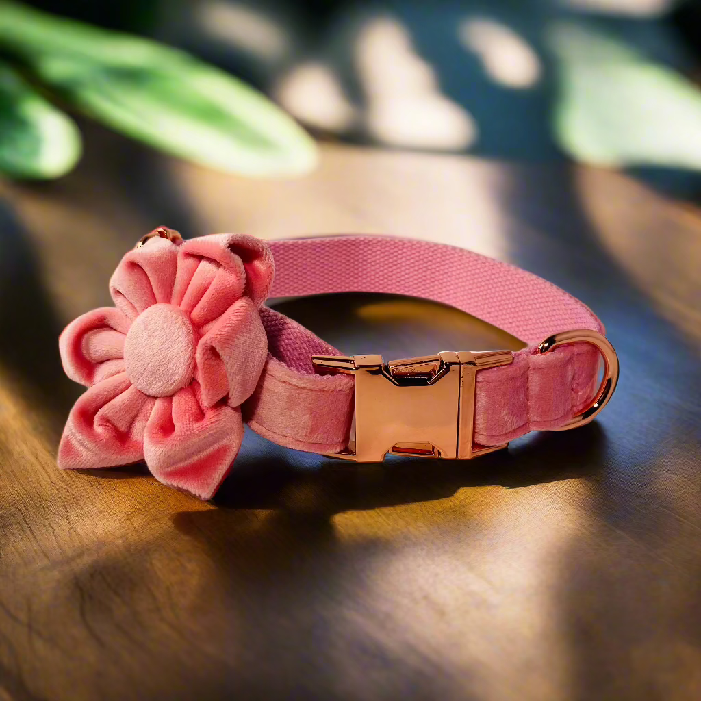 Pink flower dog fashion collar