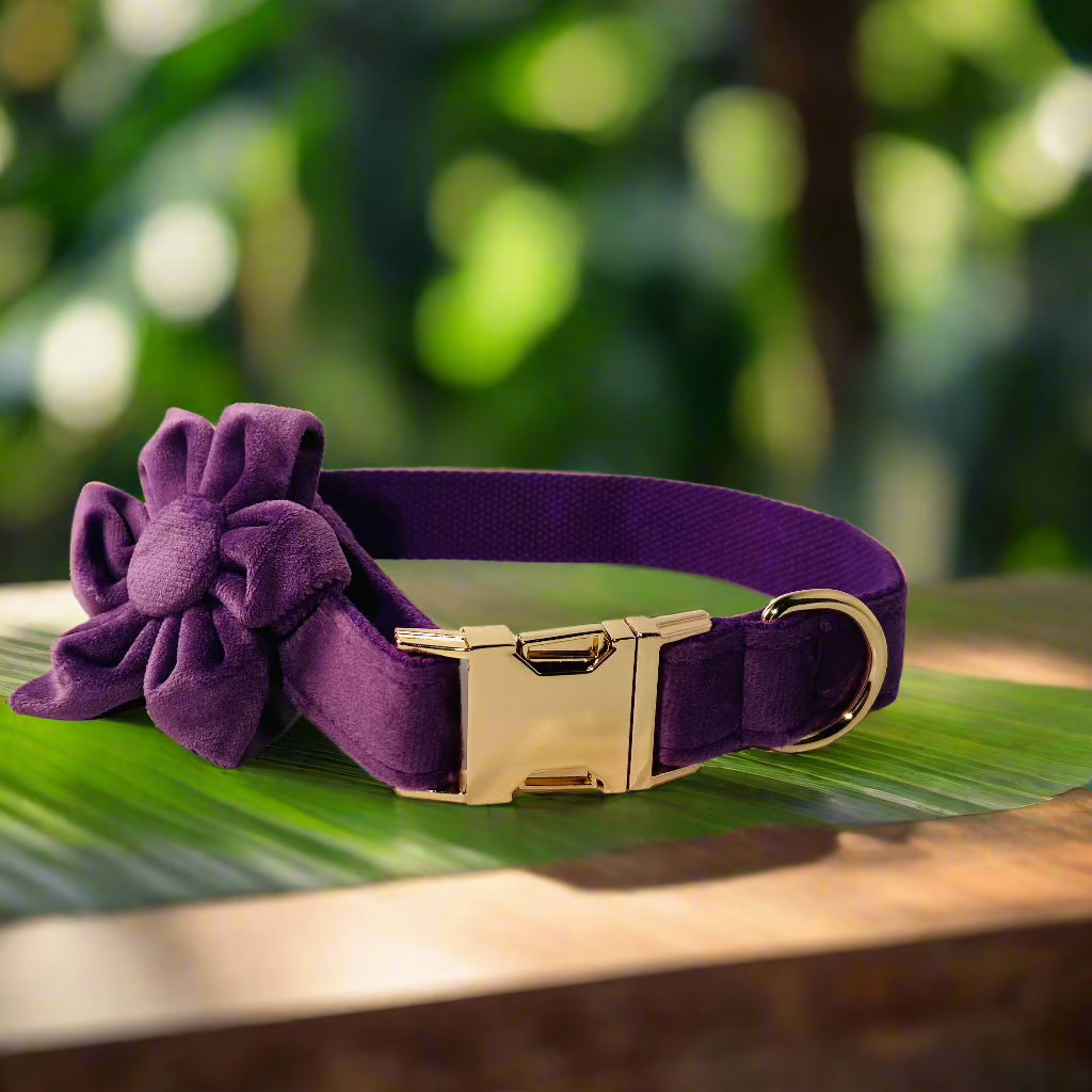 Purple flower dog collar hot sale
