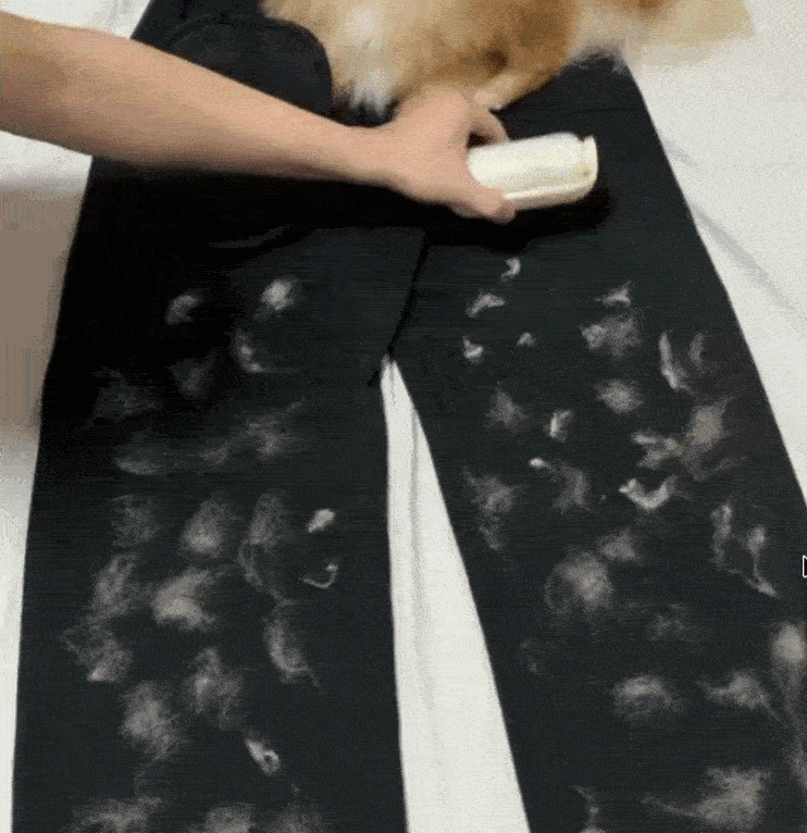 The Magic Brush
