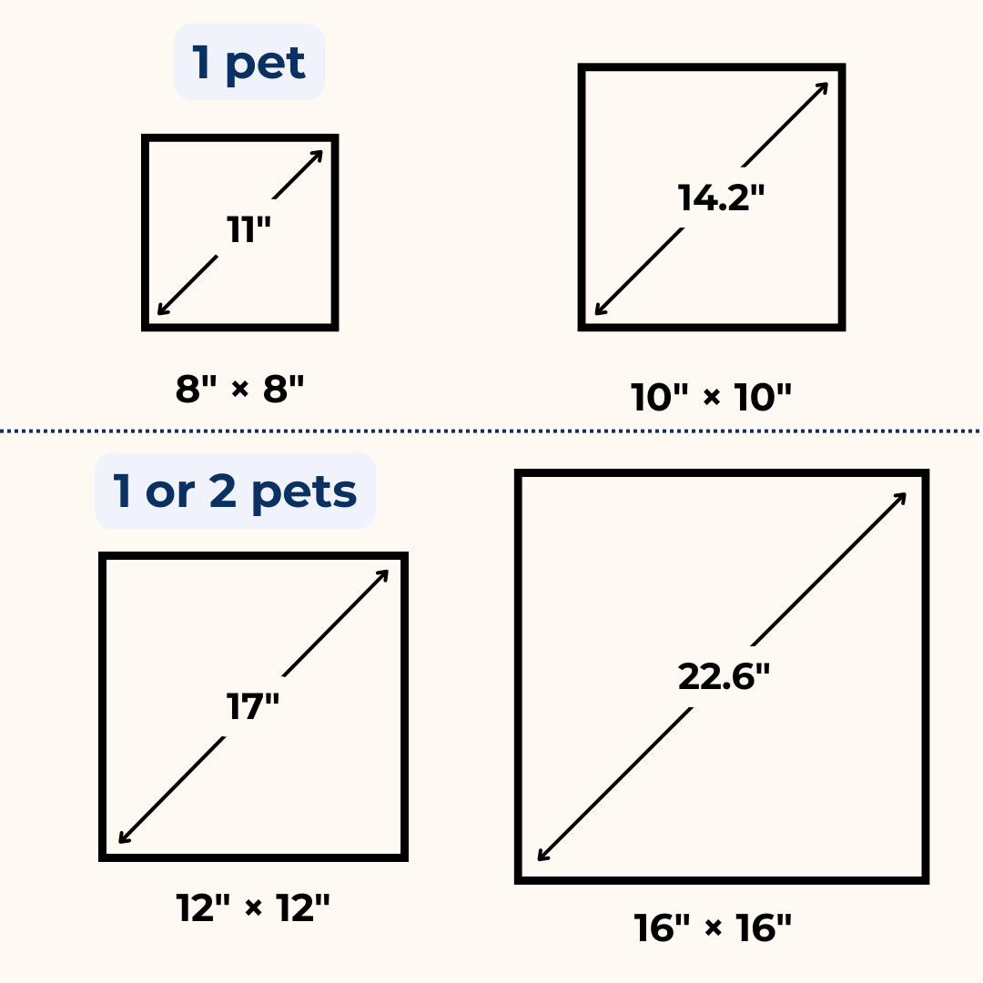 Eternal 3D Pet Portrait