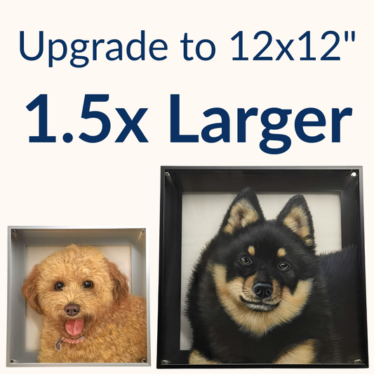 10"×10" to 12"×12"