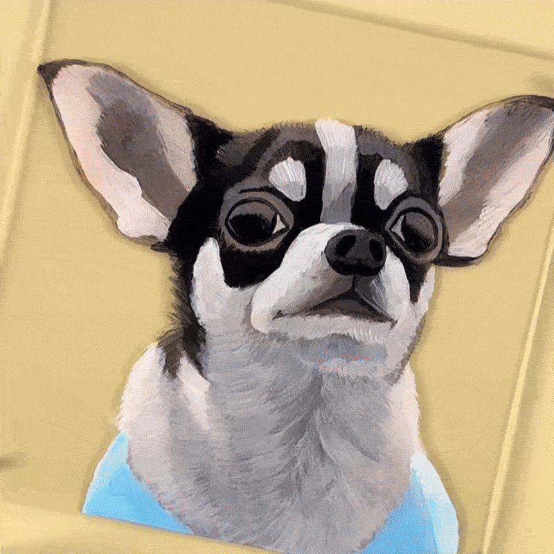 Hand-Painted 3D Pet Painting