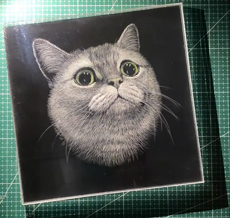 cat 3D Multi-Layer Scratch Pet Portrait