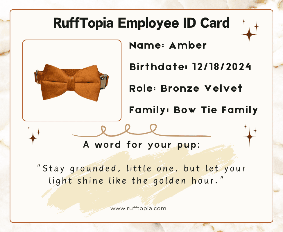 emloyee_id_card_-_amber