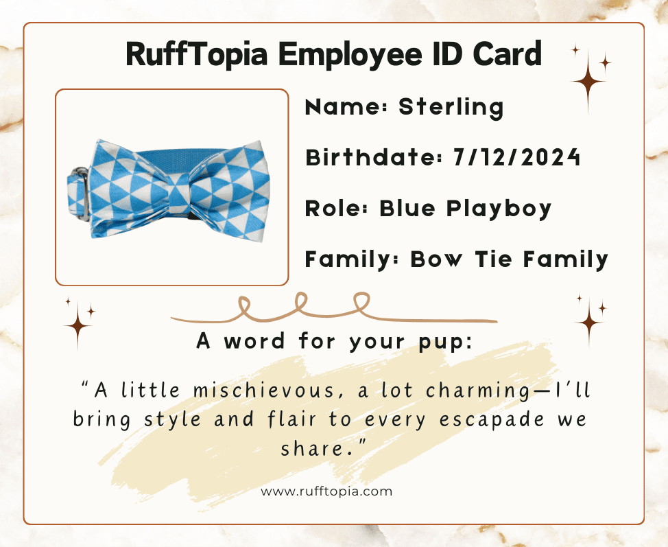 emloyee_id_card_-_sterling