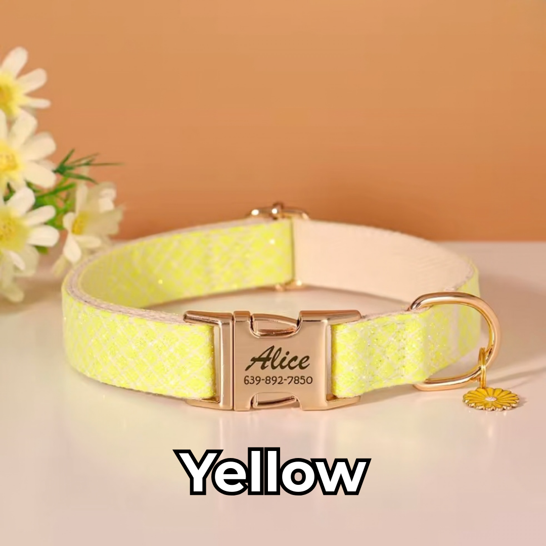Personalized Dog ID Collar