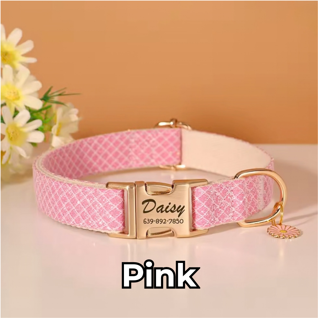 Personalized Dog ID Collar