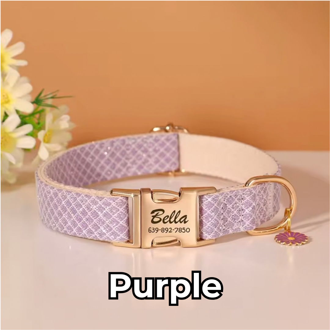 Personalized Dog ID Collar