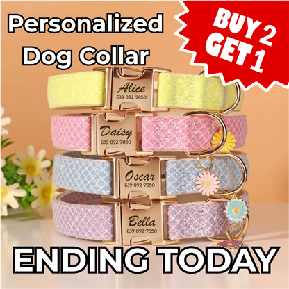 Personalized Dog ID Collar