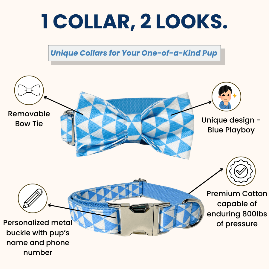 1_collar_2_looks_blue_playboy_collar