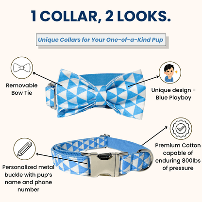 1_collar_2_looks_blue_playboy_collar