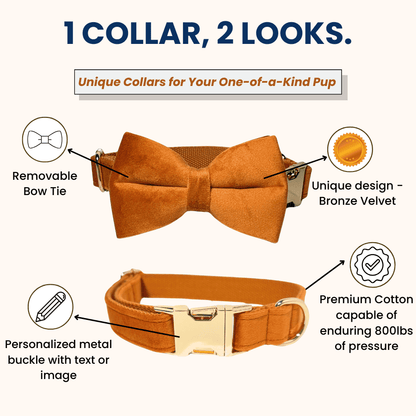 1_collar_2_looks_bronze_velvet_collar
