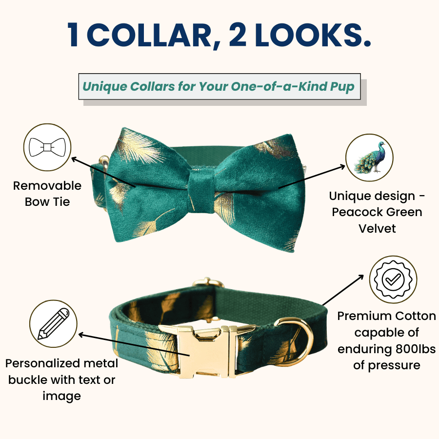 1_collar_2_looks_peacock_green_velvet_collar