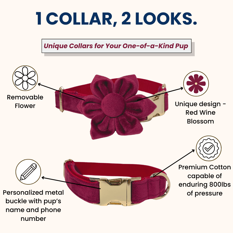 1_collar_2_looks_red_wine_blossom_collar