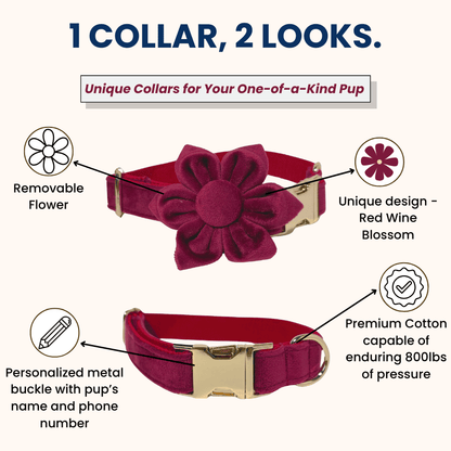 1_collar_2_looks_red_wine_blossom_collar