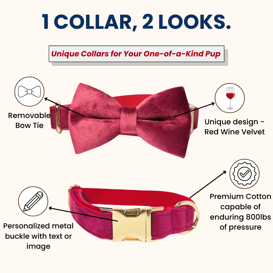 1_collar_2_looks_red_wine_velvet_collar