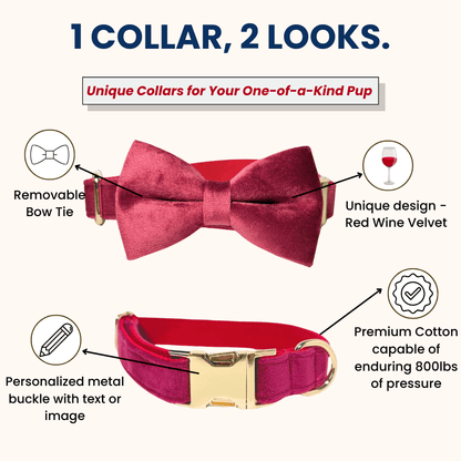 1_collar_2_looks_red_wine_velvet_collar