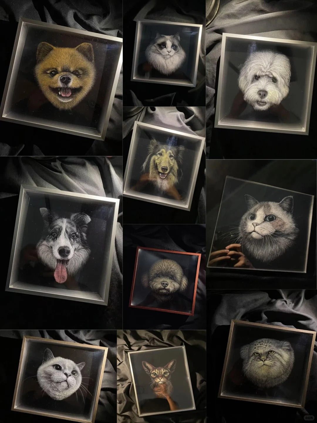 Knife Scratch 3D Pet Portrait