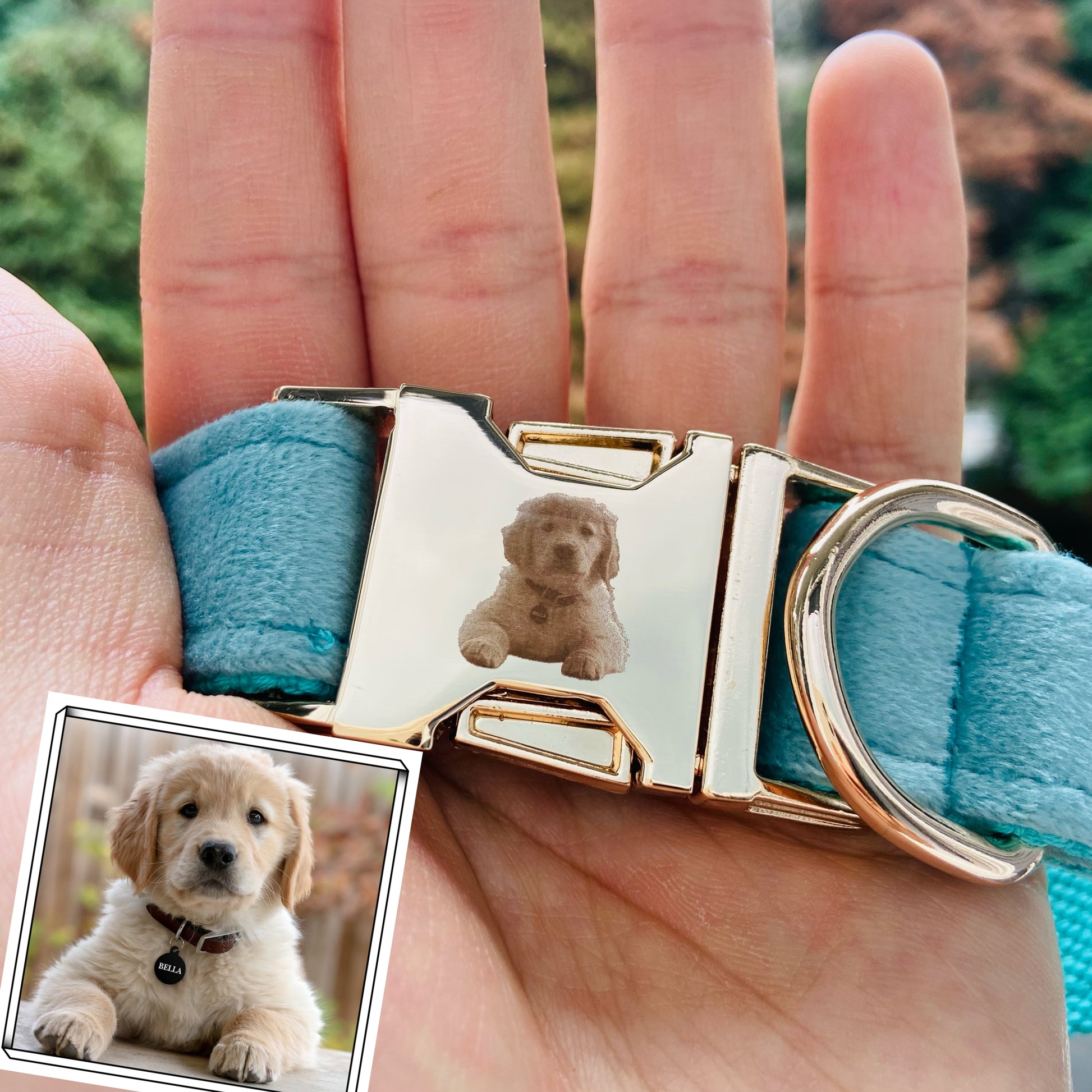 custom photo dog collar