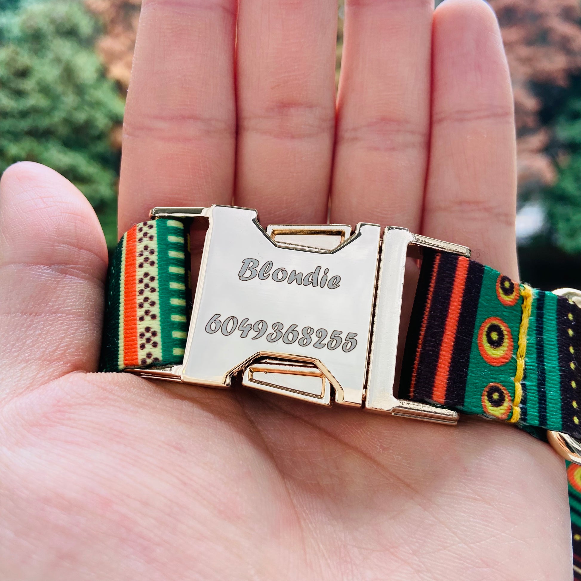 Custom name dog collar