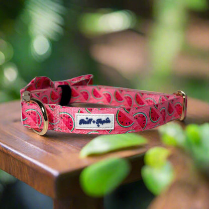 Watermelon Vibe Dog Collar