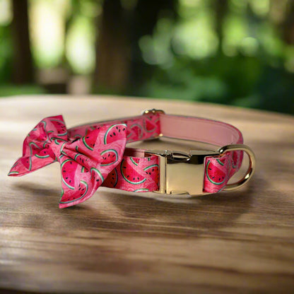 Watermelon Vibe Dog Collar