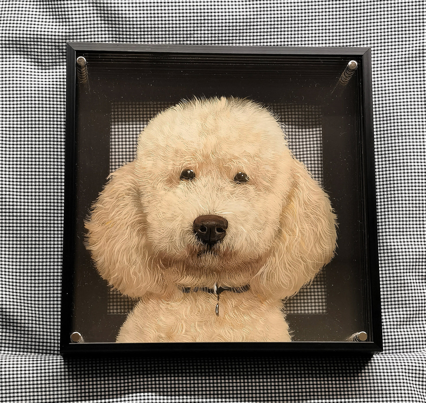 Add a Frame (Removable)