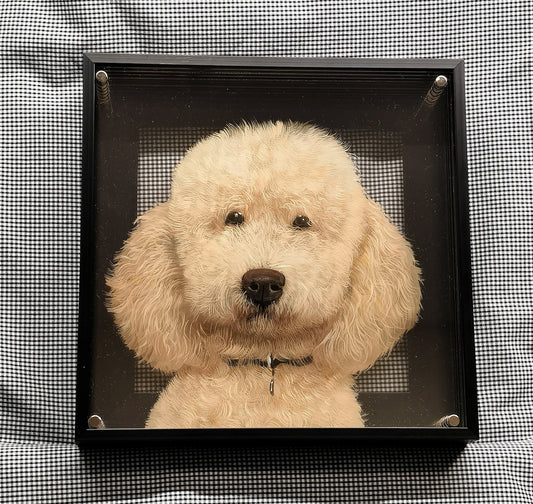 Add a Frame (Removable)