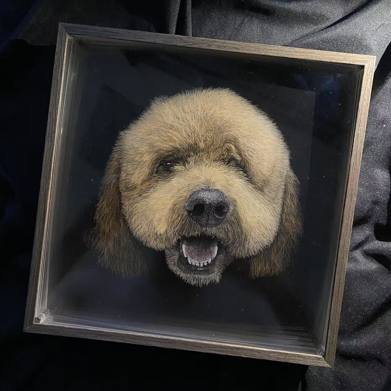 Knife Scratch 3D Pet Portrait