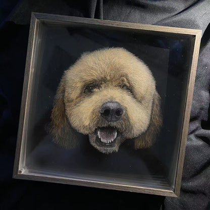 Knife Scratch 3D Pet Portrait