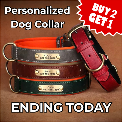 Personalized Dog ID Collar