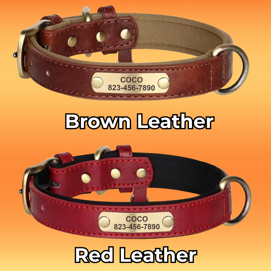 Personalized Dog ID Collar