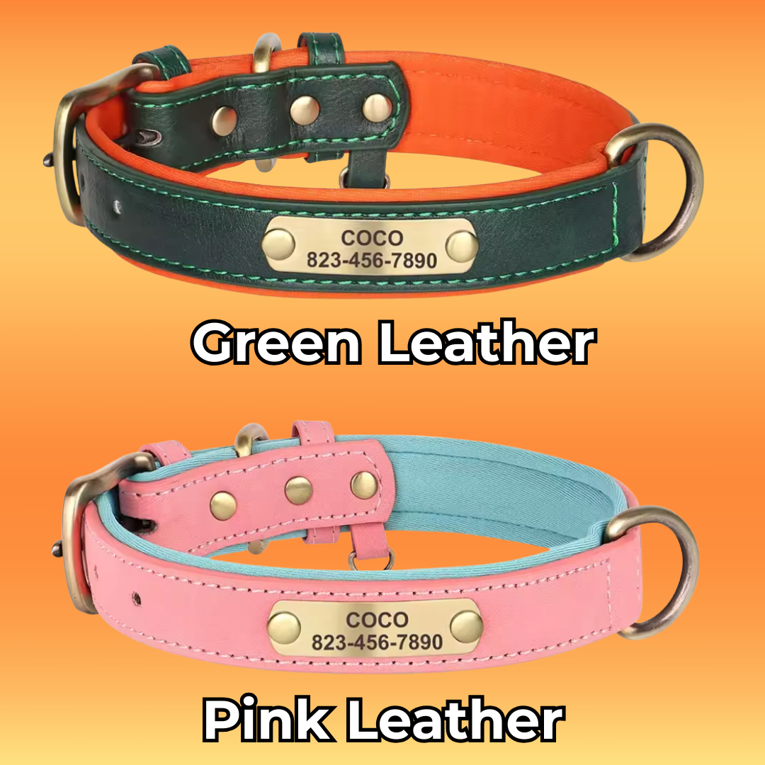 Personalized Dog ID Collar
