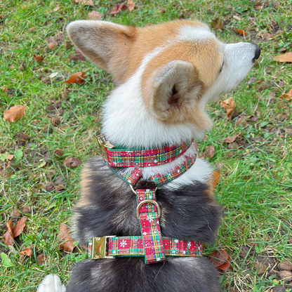 Christmas Vibe Dog Harness