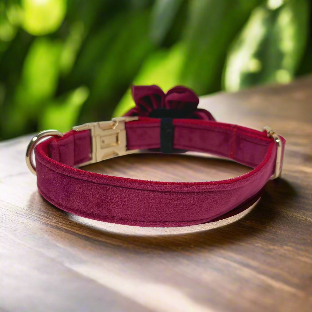 Red Wine Blossom Collar - Scarletvine