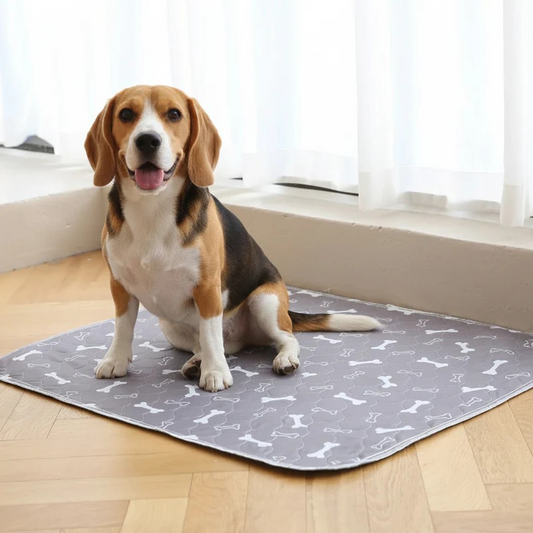 RuffTopia EverFresh Pup Pad™