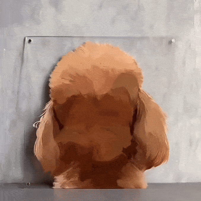 3697d1c6c55481c70797442ff00cc2a8_raw-ezgif.com-optimize.gif__PID:879ad411-be55-49f4-90b3-c885f9b61975