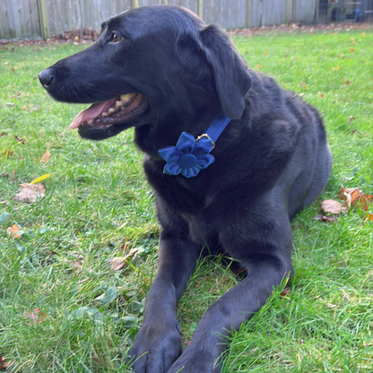 Indigo Blossom Collar - Moonpetal