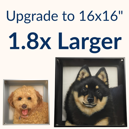 12"×12" to 16"×16"